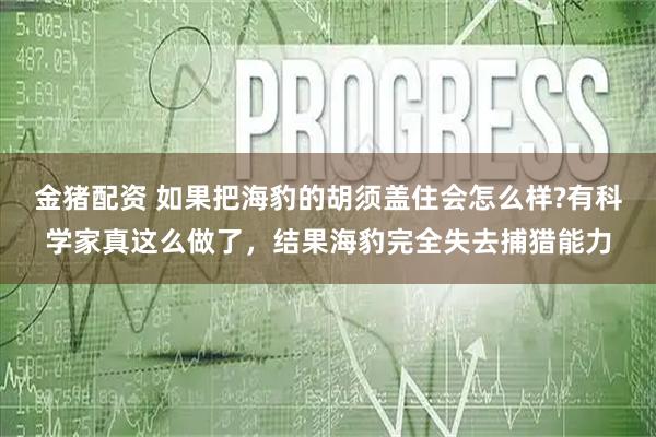 金猪配资 如果把海豹的胡须盖住会怎么样?有科学家真这么做了，结果海豹完全失去捕猎能力