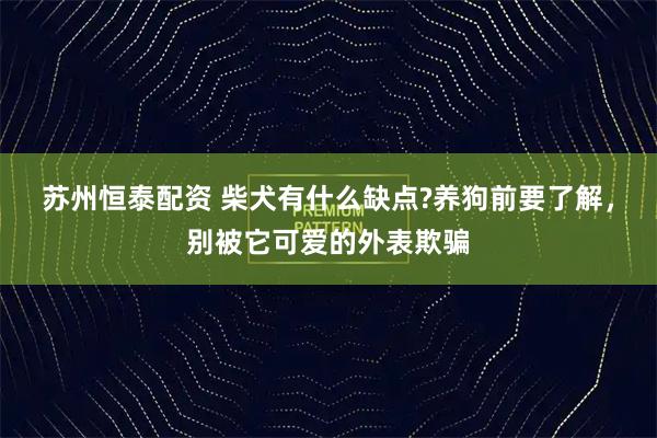 苏州恒泰配资 柴犬有什么缺点?养狗前要了解，别被它可爱的外表欺骗